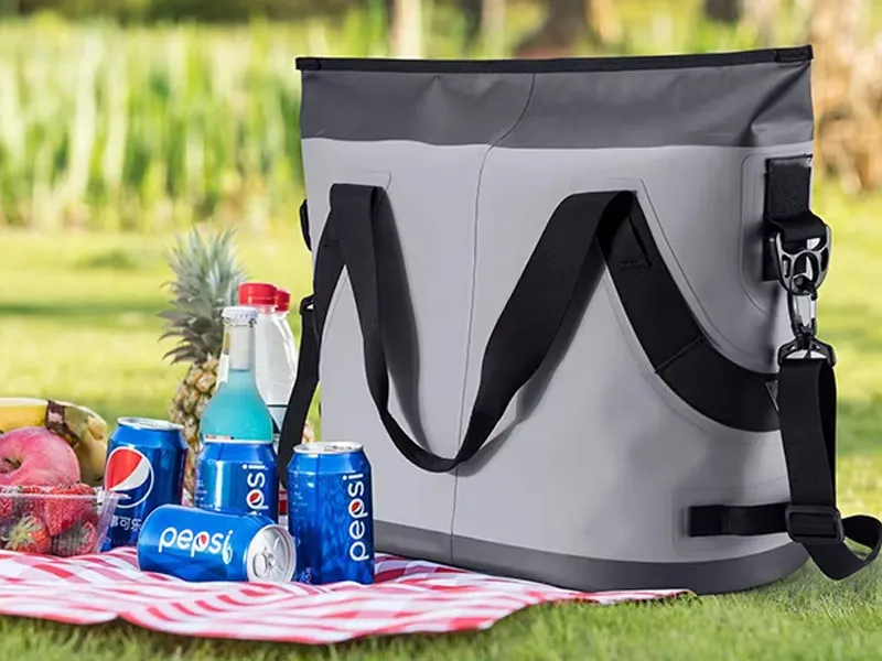 စခန်းချရာတွင် ရေခဲအိတ်များ၏ အခန်းကဏ္ဍ