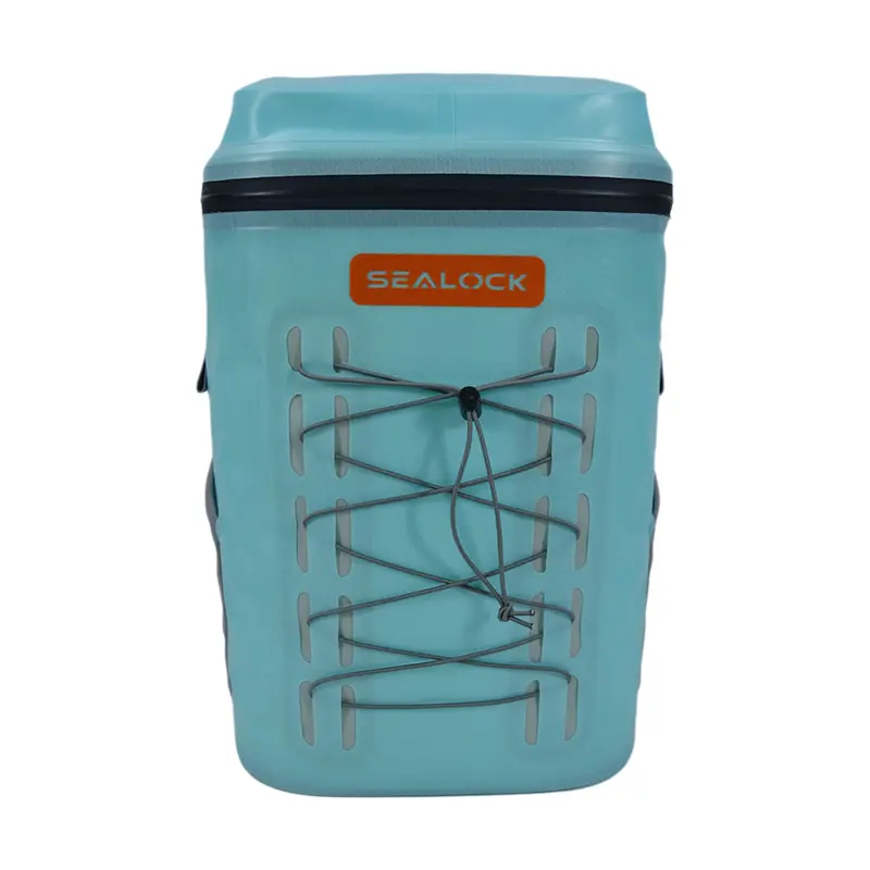 Outdoor Soft Insulated Cooler ကျောပိုးအိတ်